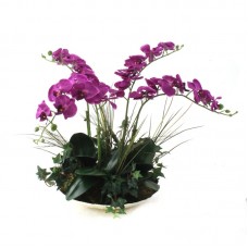 Dalmarko Designs Orchids in Decorative Bowl DALD1439